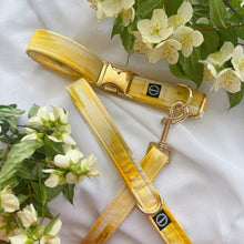 Load image into Gallery viewer, Sun Kissed Collar