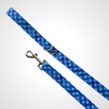 Load image into Gallery viewer, Chilly Check Leash