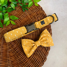 Load image into Gallery viewer, Sun Shower Collar