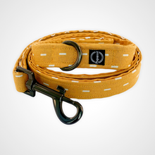 Load image into Gallery viewer, Sun Shower Leash