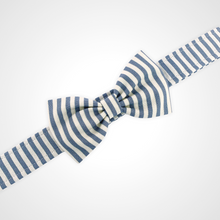 Load image into Gallery viewer, Spring Stripe Bow Tie