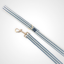 Load image into Gallery viewer, Spring Stripe Leash