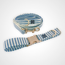 Load image into Gallery viewer, Spring Stripe Collar