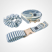 Load image into Gallery viewer, Spring Stripe Leash