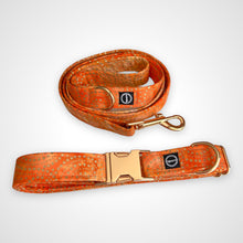 Load image into Gallery viewer, Amber Glow Collar
