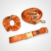 Load image into Gallery viewer, Amber Glow Leash