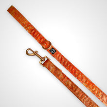 Load image into Gallery viewer, Amber Glow Leash