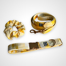 Load image into Gallery viewer, Sun Kissed Leash
