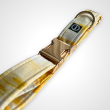 Load image into Gallery viewer, Sun Kissed Collar
