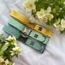 Load image into Gallery viewer, Hedge Maze Collar
