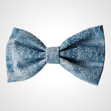Load image into Gallery viewer, Icy Adventure Bow Tie
