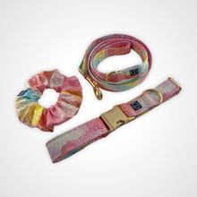Load image into Gallery viewer, Pastel Skies Leash
