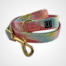Load image into Gallery viewer, Pastel Skies Leash
