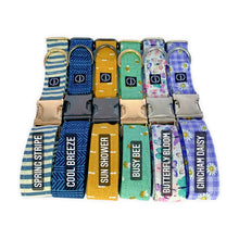 Load image into Gallery viewer, Spring Stripe Collar
