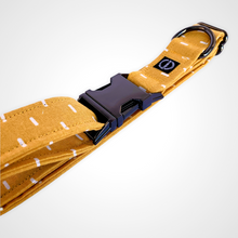 Load image into Gallery viewer, Sun Shower Collar
