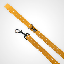 Load image into Gallery viewer, Sun Shower Leash
