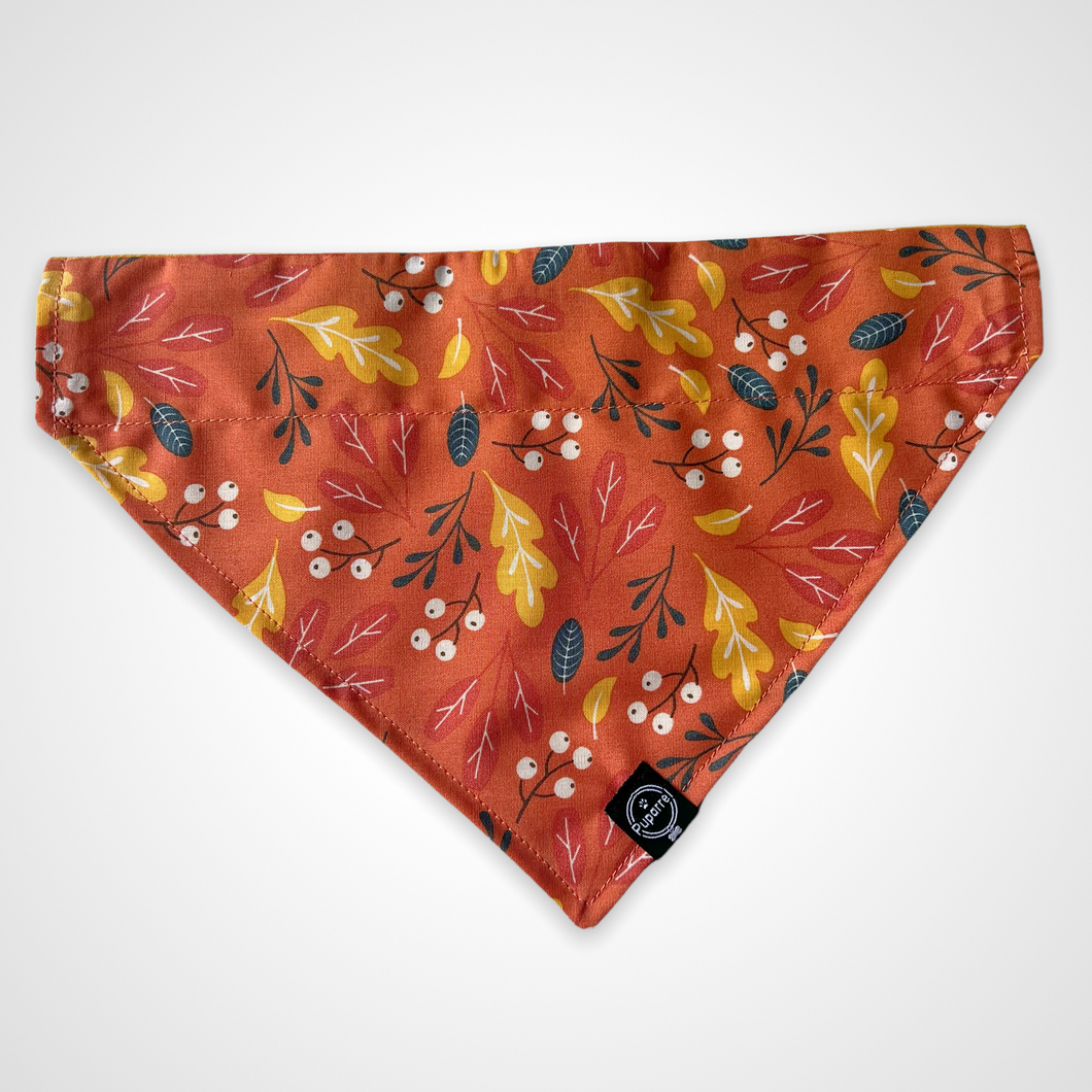 Autumn Leaves Bandana
