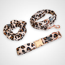 Load image into Gallery viewer, Blush Leopard Leash
