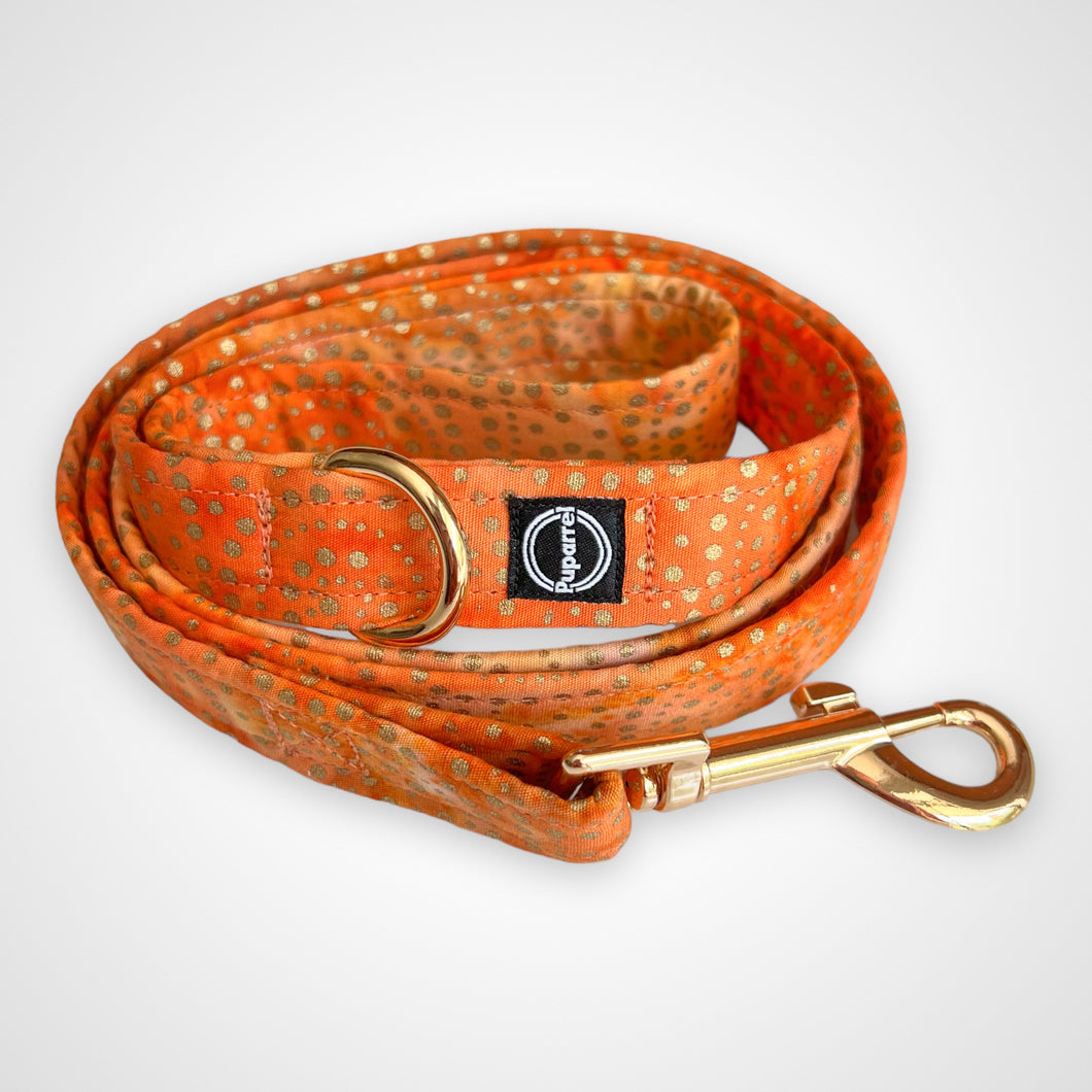 Amber Glow Leash