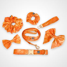 Load image into Gallery viewer, Amber Glow Collar
